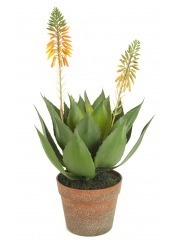 Agave fleuri artificiel