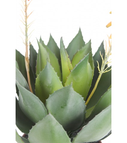 Agave fleuri artificiel