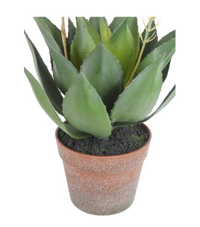 Agave fleuri artificiel