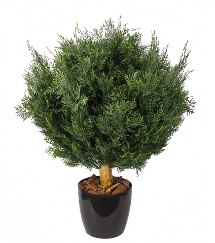 Cyprès artificiel buisson Lawson