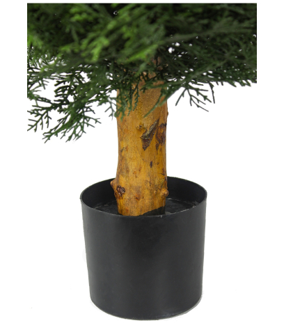 Pot