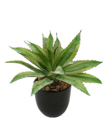 Aloe marginata artificiel
