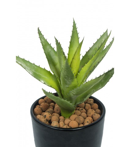 Petit aloé véra artificiel