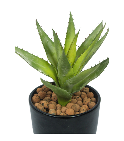 Petit aloé véra artificiel