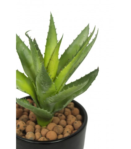Petit aloé véra artificiel