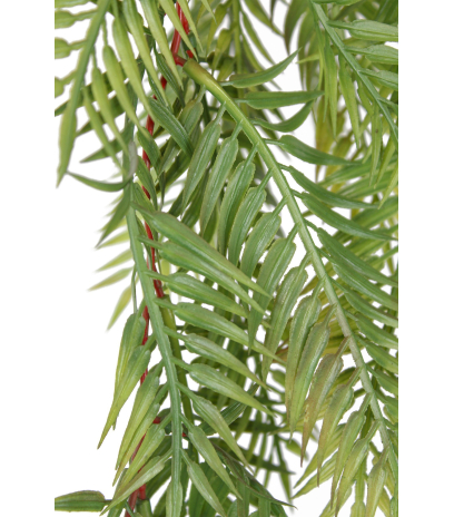 Chute de sequoia artificielle