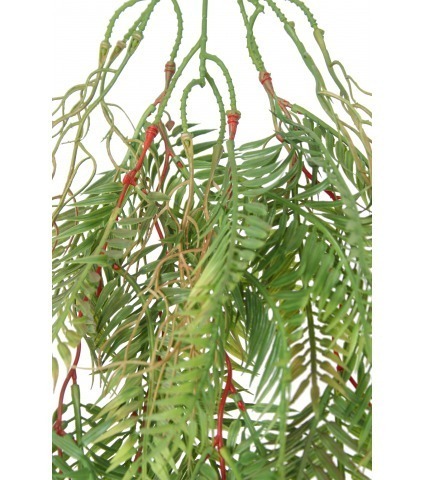 Chute de sequoia artificielle