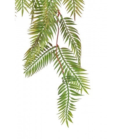 Chute de sequoia artificielle