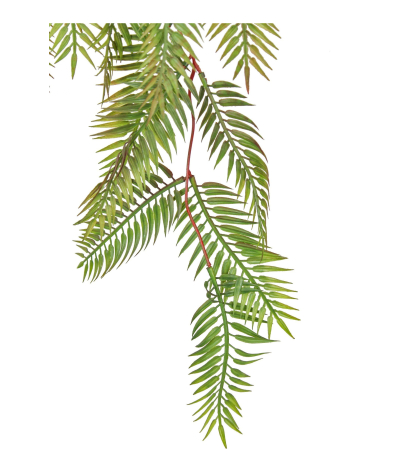 Chute de sequoia artificielle