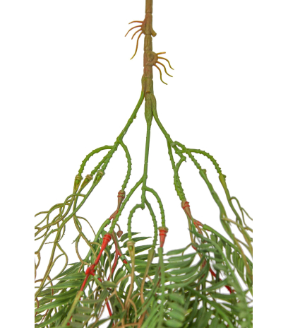Chute de sequoia artificielle