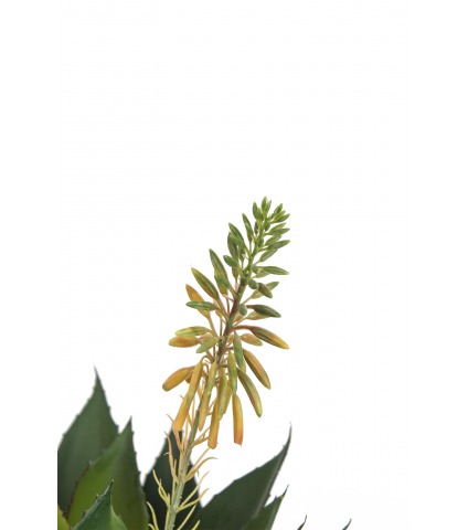 Agave fleuri artificiel