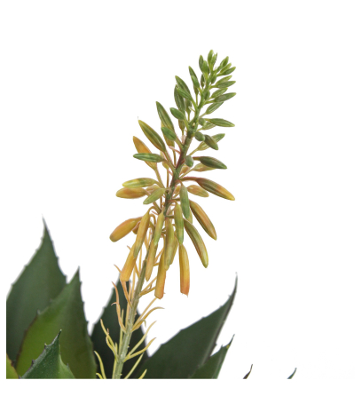 Agave fleuri artificiel