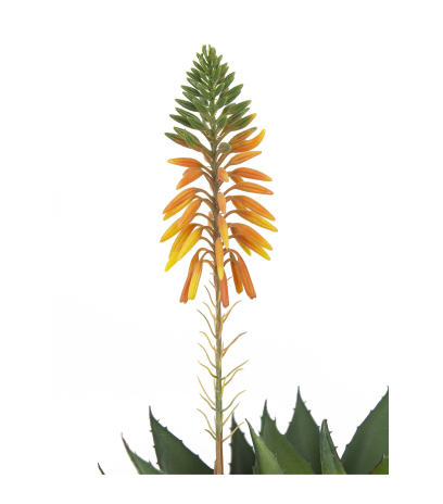 Agave fleuri artificiel
