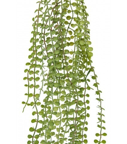 Chute de dischidia artificielle verte