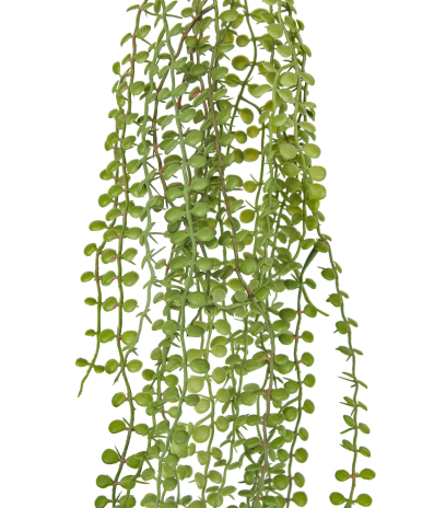 Chute de dischidia artificielle verte