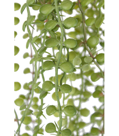 Chute de dischidia artificielle verte
