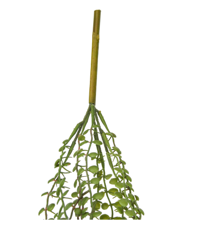 Chute de dischidia artificielle verte