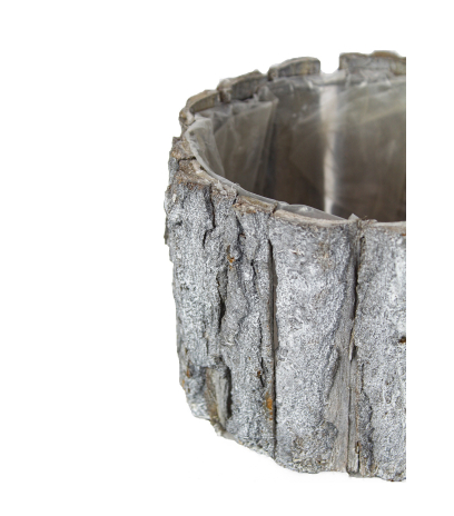 Cache-pot écorce bouleau
