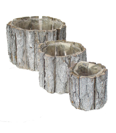 Cache-pot écorce bouleau