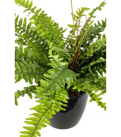 Grand fougère artificielle Boston