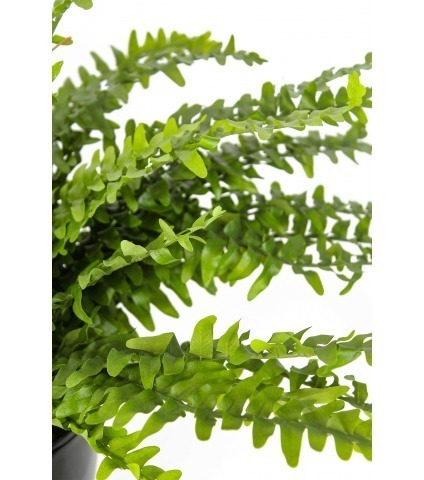 Grand fougère artificielle Boston