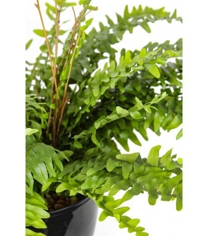 Grand fougère artificielle Boston