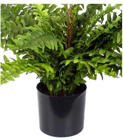 Pot