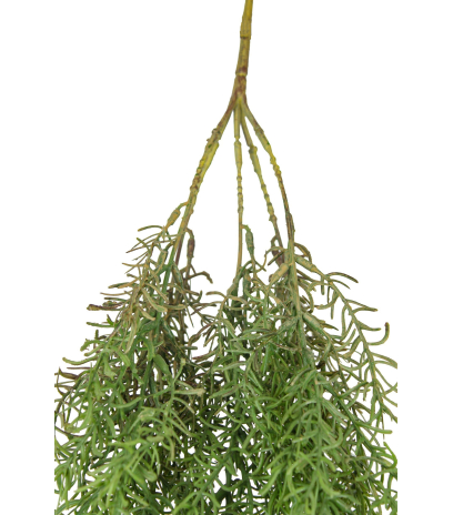 Grande chute de rhipsalis artificielle
