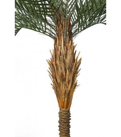 Palmier artificiel phœnix extérieur