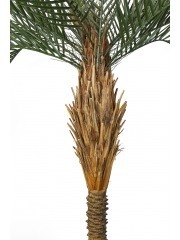 Palmier artificiel phœnix extérieur