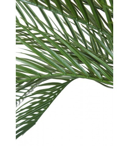 Palmier artificiel phœnix extérieur