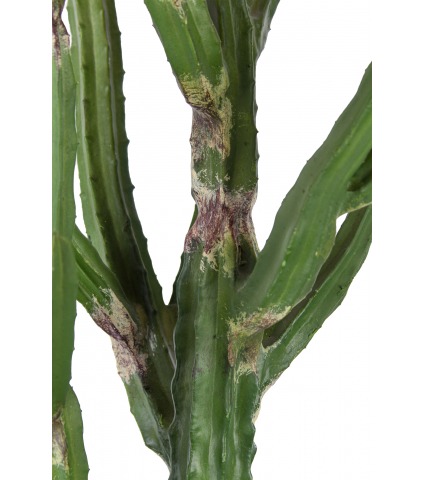 Cactus artificiel arizona