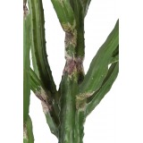 Cactus artificiel arizona