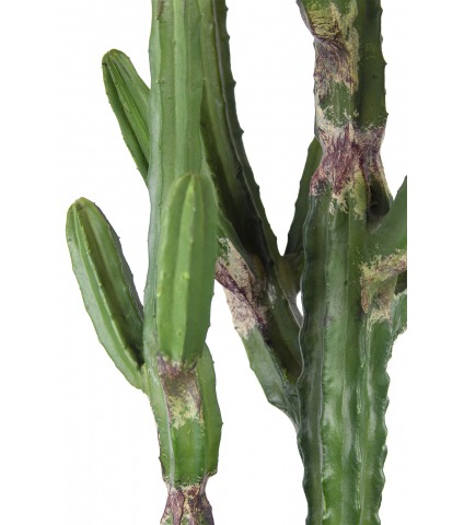 Cactus artificiel arizona