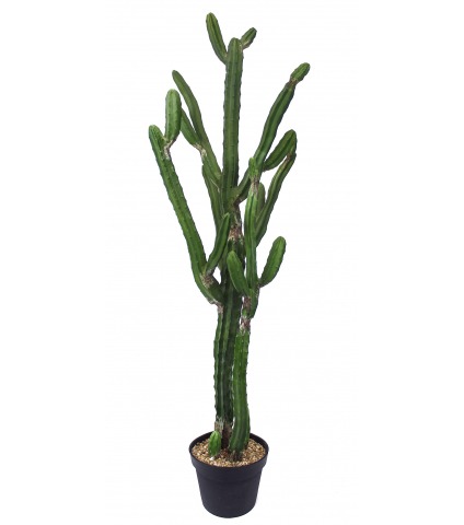 Cactus artificiel arizona