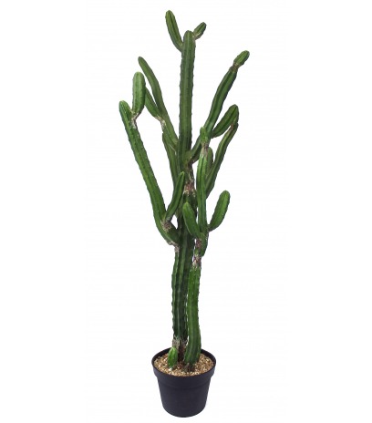 Cactus artificiel arizona