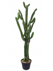 Cactus artificiel arizona