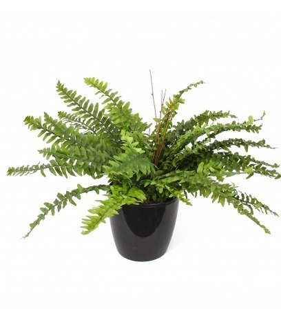 Grande fougère artificielle Boston