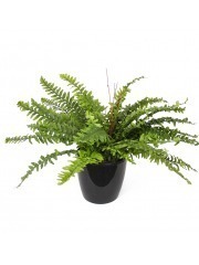 Grande fougère artificielle Boston