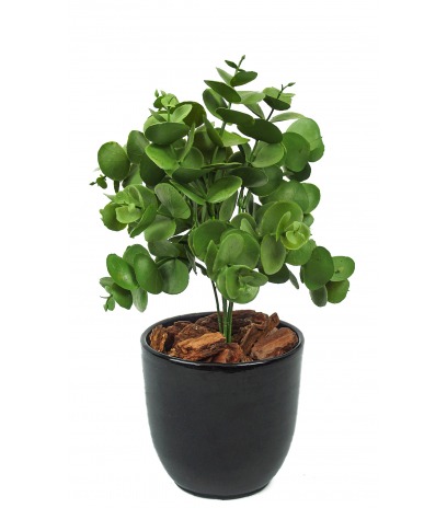 Petit eucalyptus artificiel