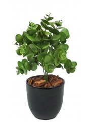 Petit eucalyptus artificiel