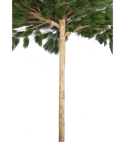 Pin parasol artificiel