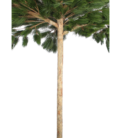 Pin parasol artificiel
