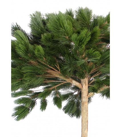 Pin parasol artificiel