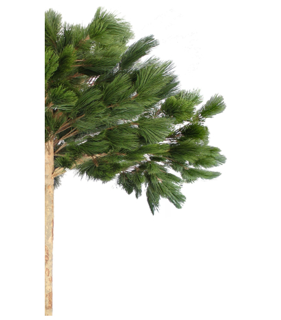 Pin parasol artificiel