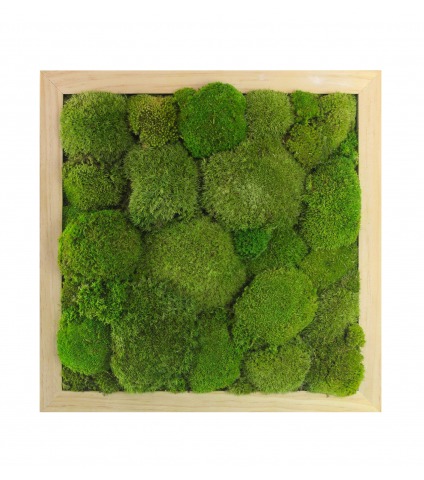 Cadre mousse végétale Houlgate