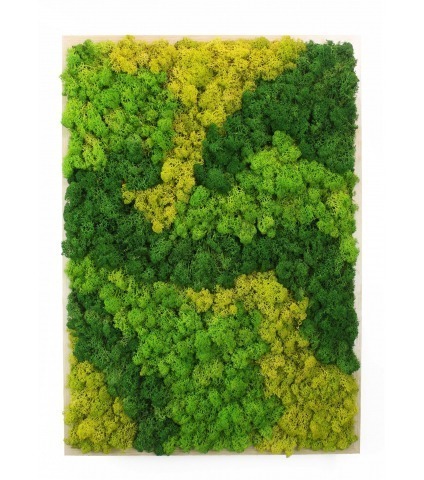 Cadre végétal artificiel mousse Coutances