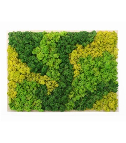 Cadre végétal artificiel mousse Coutances