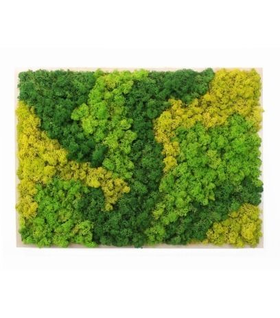 Cadre végétal artificiel mousse Coutances