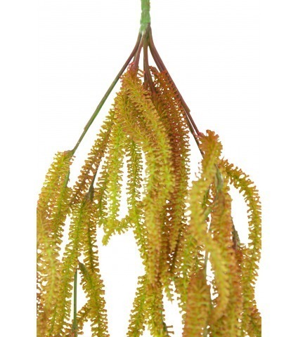 Chute de laiche pendante artificielle